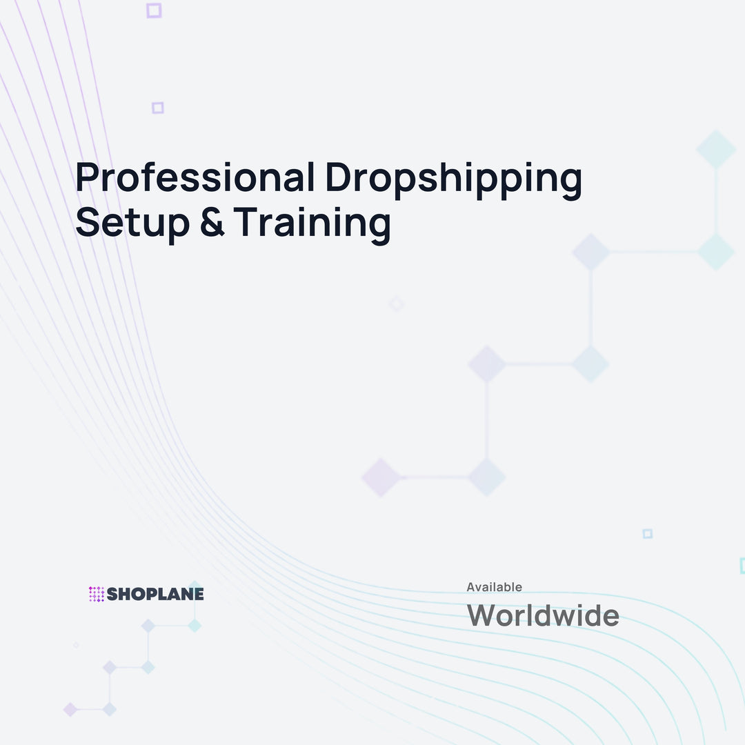 Professional Dropshipping Setup &amp; Training - Digital Service -