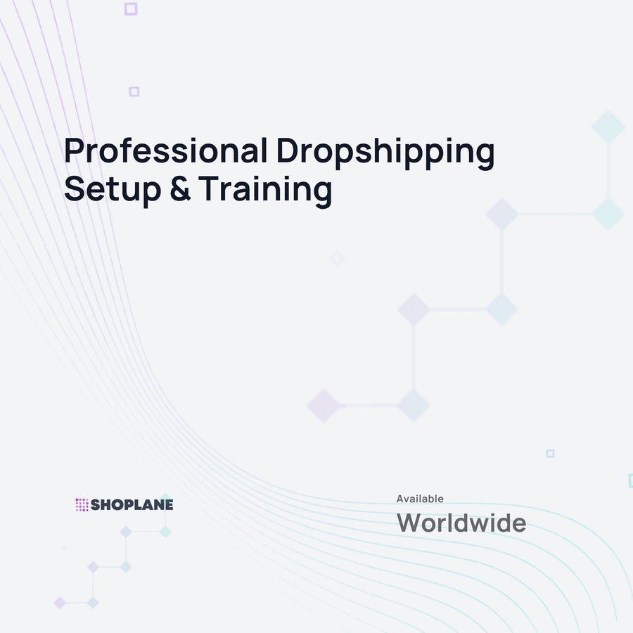 Professional Dropshipping Setup & Training - Digital Service